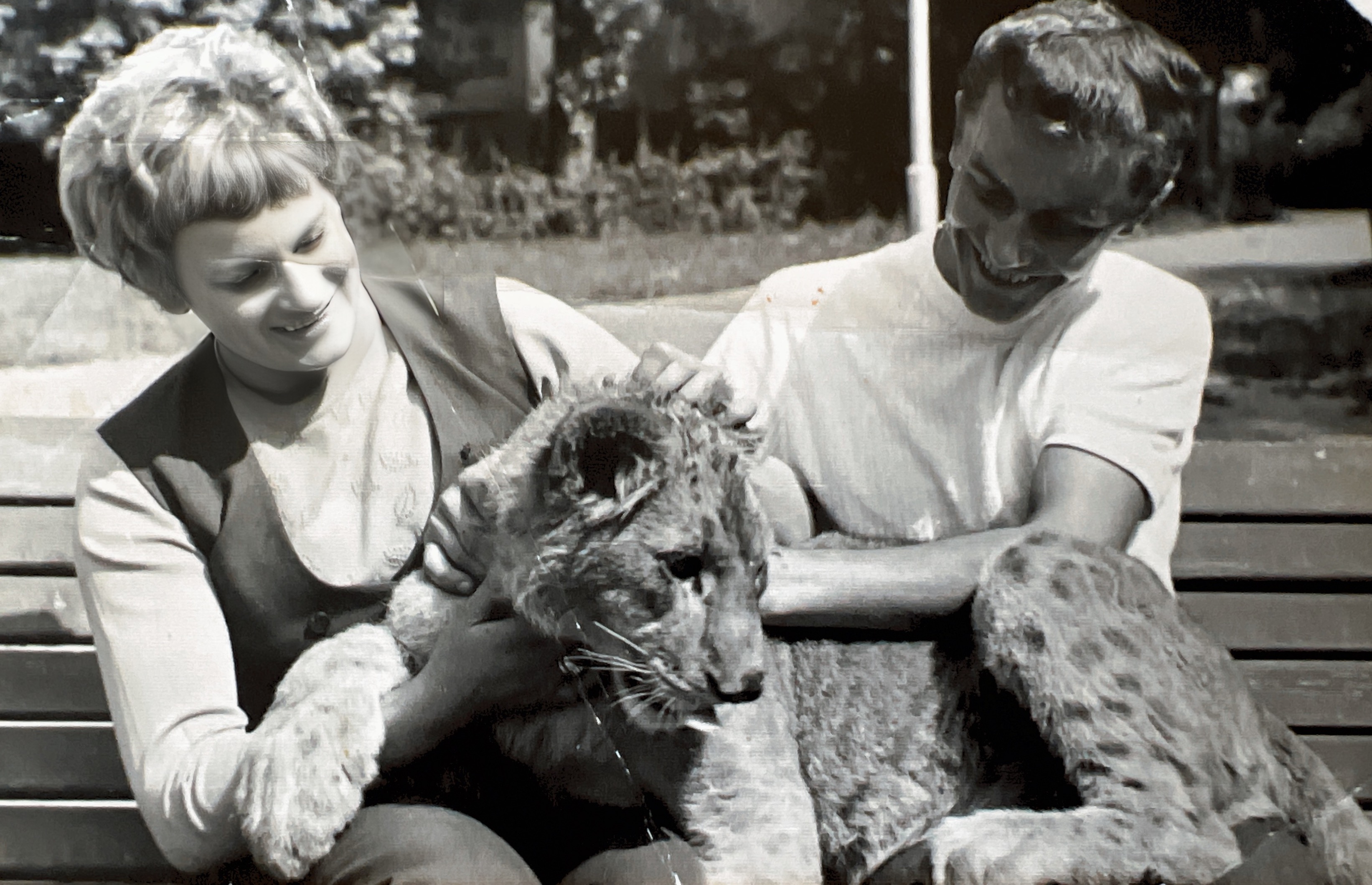 Janina i Tadeusz Weron, zoo Warszawie wrzesień 1968r
