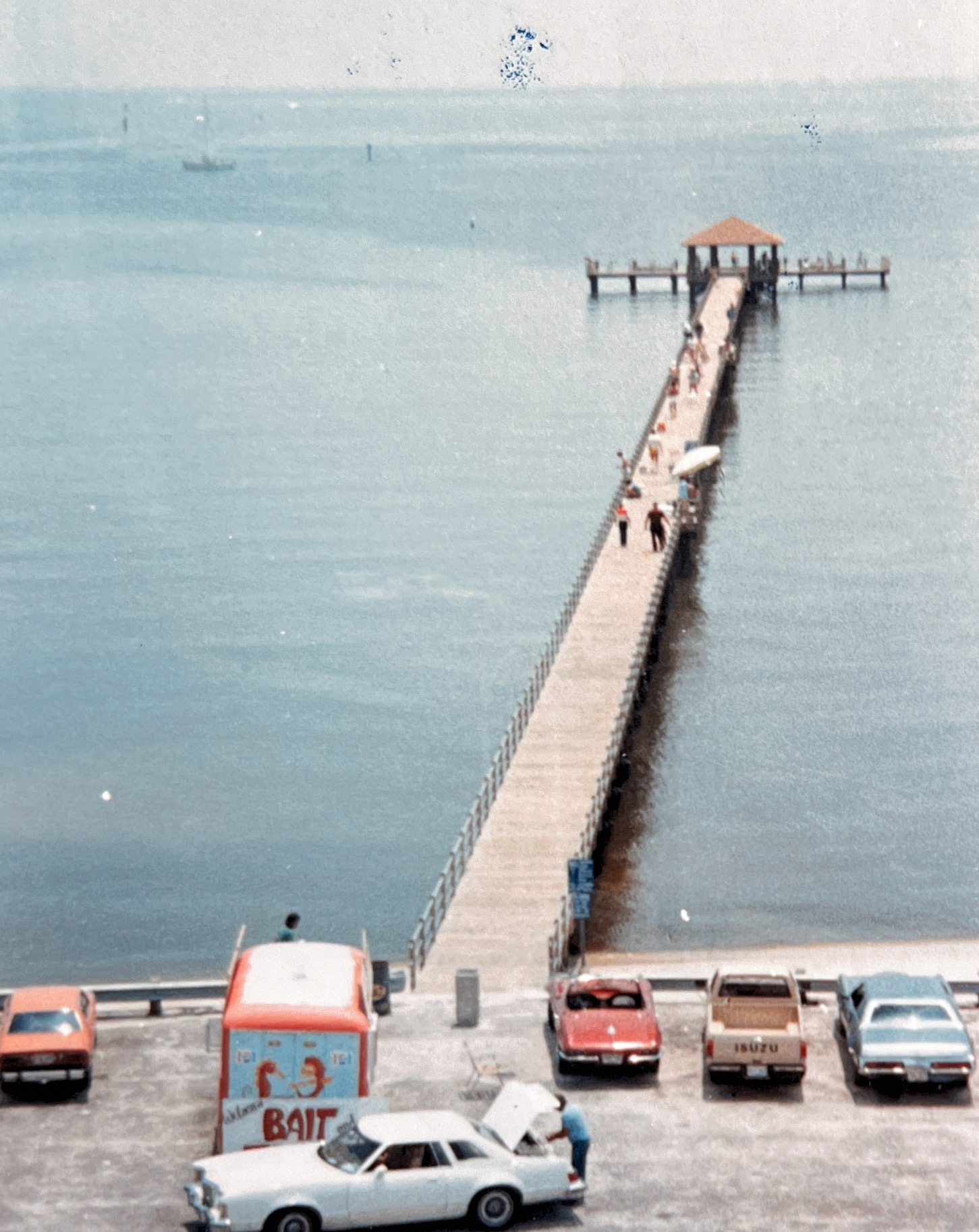 July 20th 1984 Scene from lighthouse on Biloxi coast