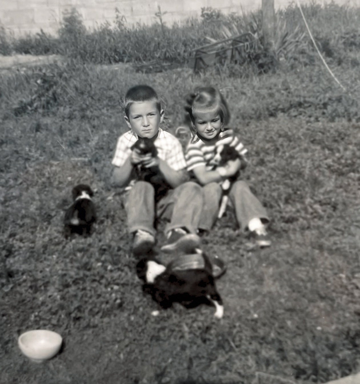 Bob and Mary Lou with puppies Marinette, Wi Early 1950’s