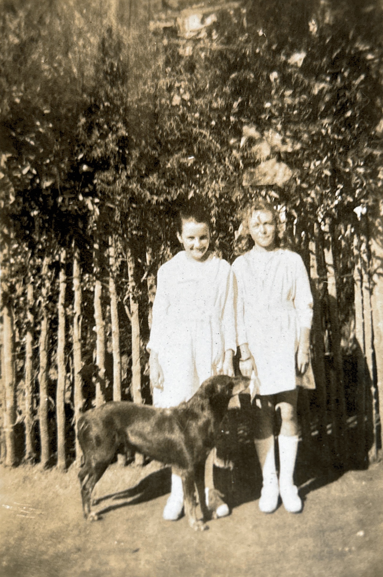Jean Fraser & Rosa Gervasoni with Dog Paddy. Circa 1920