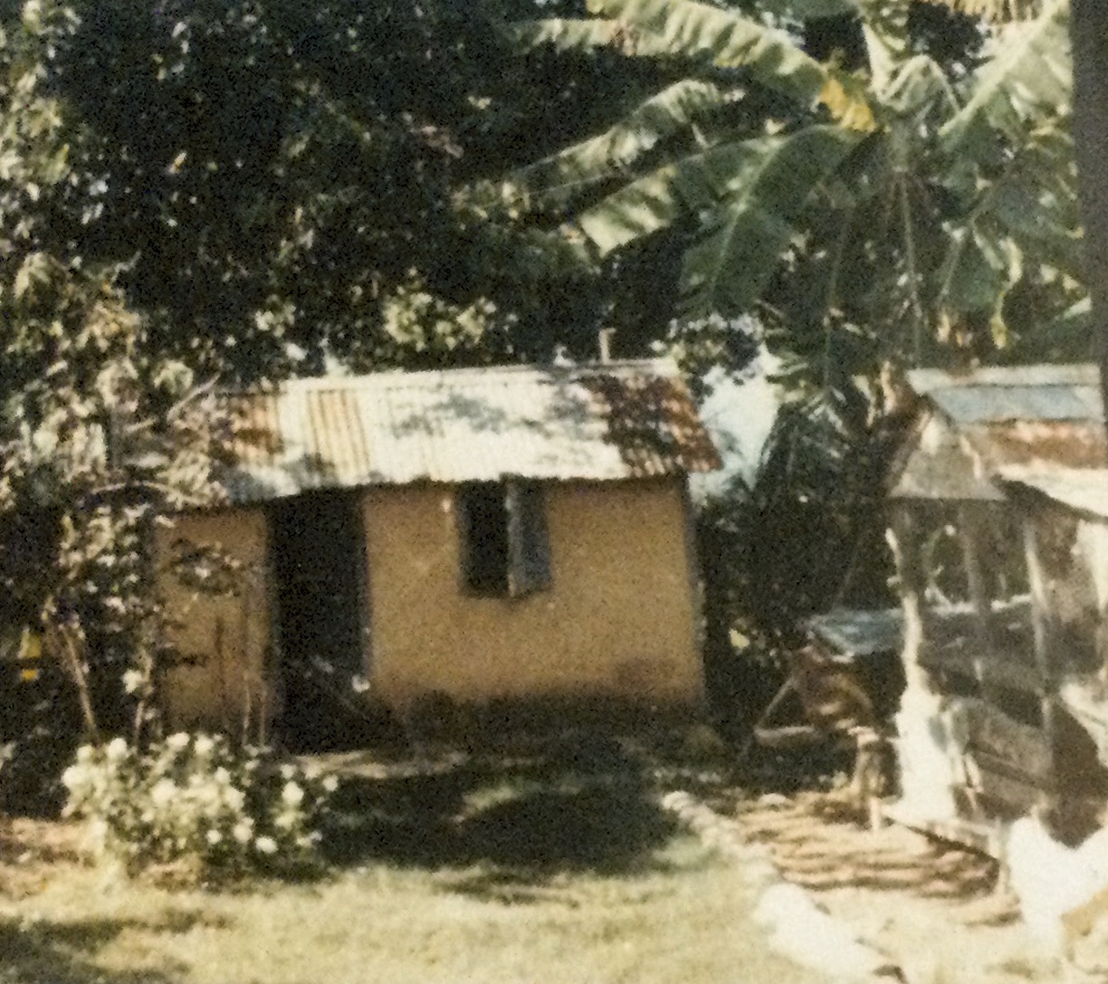 Outhouse circa 1900