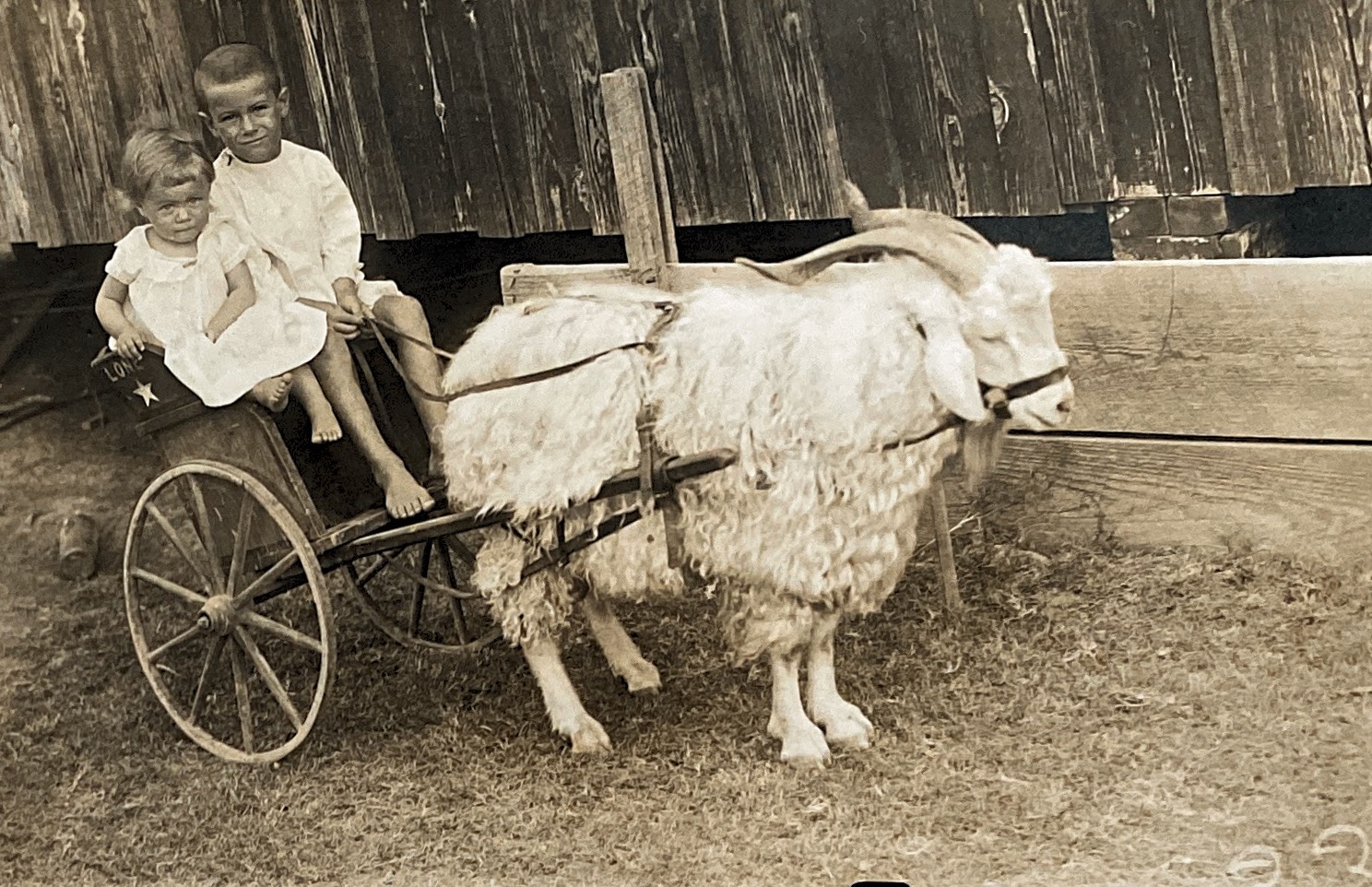 Linda Sherrill and brother Carl in their goat cart. 1915