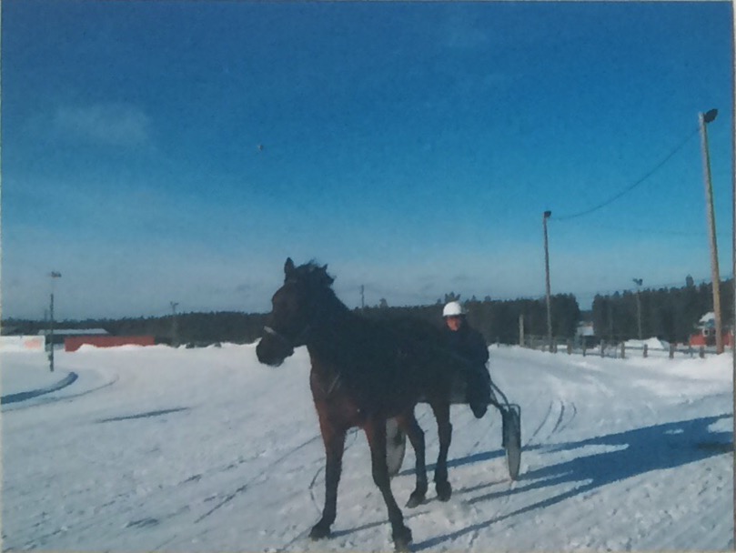 Lord Nordkapp, me and training session (2004?)