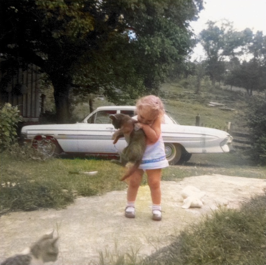 Hot summer day in August 1965 at my Great-Grandmother’s farm in Shady Grove, TN.  Once I saw the colorized version, I know I must have wanted to pick up that kitty very much. So much that I left my Lammmikins on the driveway.  In the original  you couldn’t really see Lammikins.  He blended in with gravel of the driveway.  Thank you Colorize for showing me a new side of that picture!